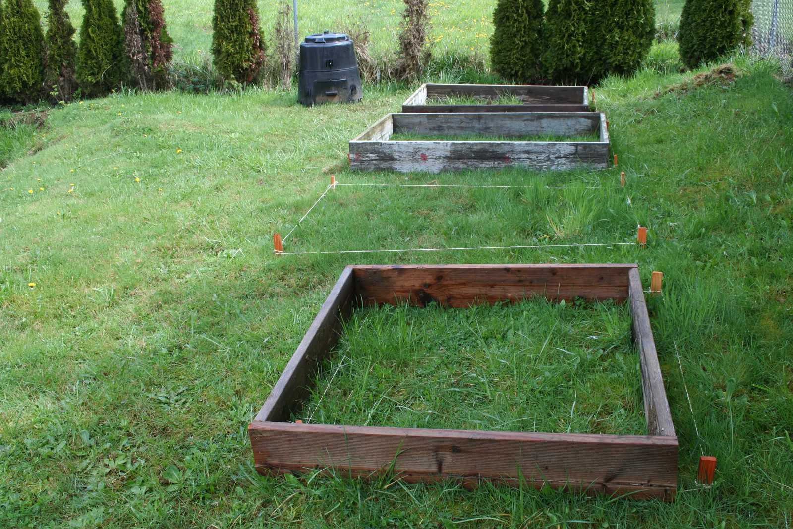 Starts of three raised beds
