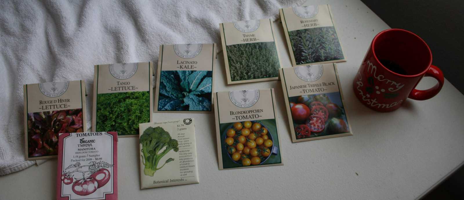 Seed packets laid out on the table