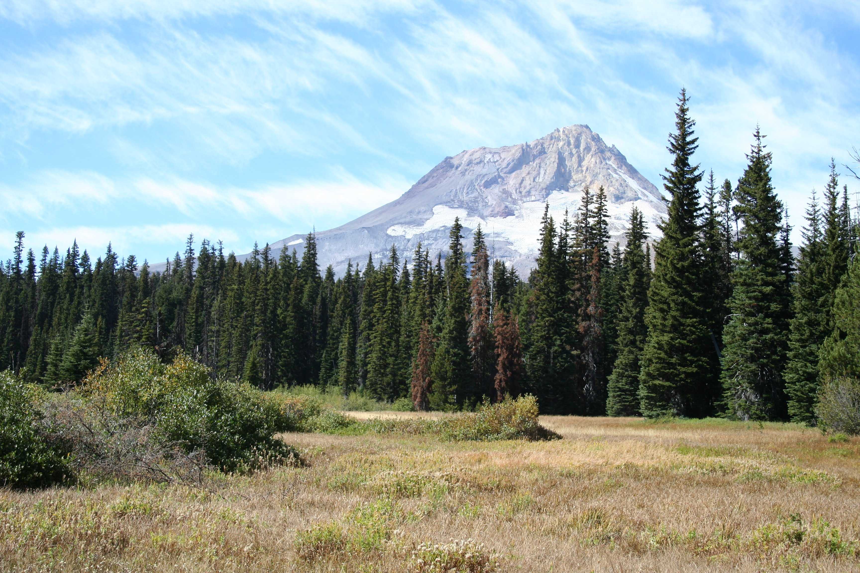 Mt. Hood From Elk Meadows