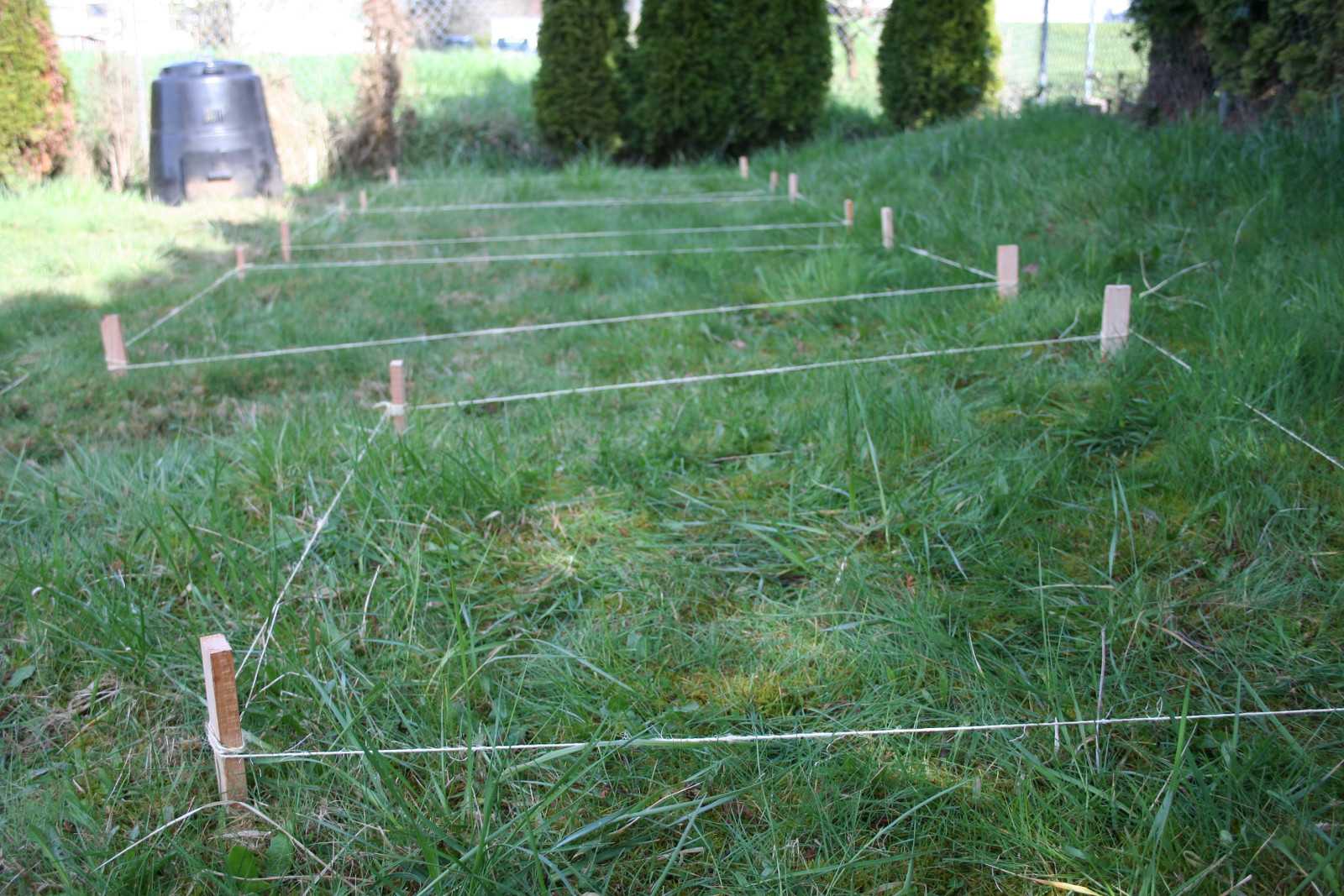 Garden beds laid out with stakes and twine