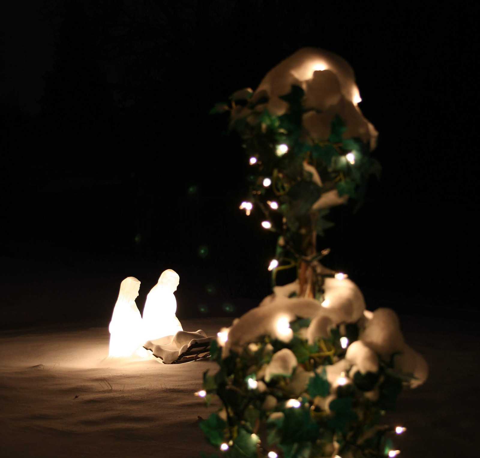 Christmas lights on a snow-covered topiary with an illuminated nativity in the background in the snow after dark